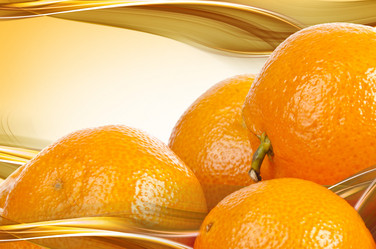 Similar image 423789