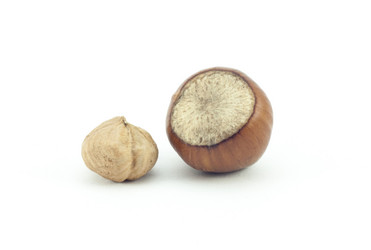 Similar image 423798