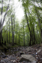 Similar image 423807