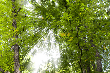 Similar image 423808