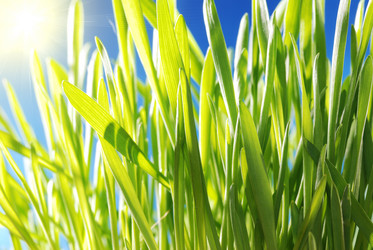 Similar image 423849