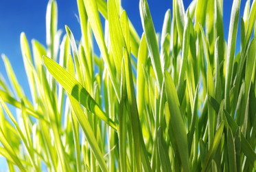 Similar image 423851