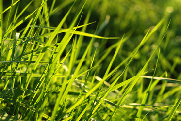 Similar image 423852