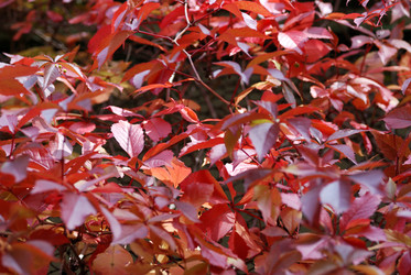 Similar image 423865