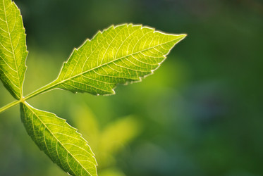 Similar image 423868