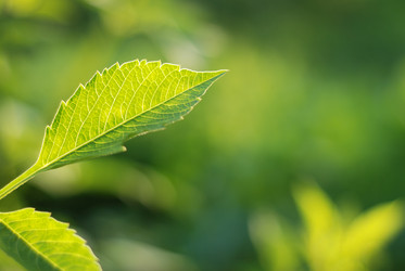 Similar image 423869