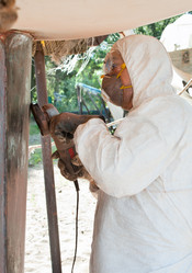 Similar image 423890