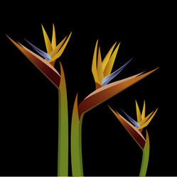 Similar image 423934