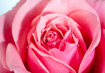 Similar image 423999