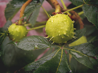 Similar image 424012