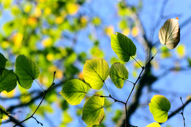 Similar image 424016