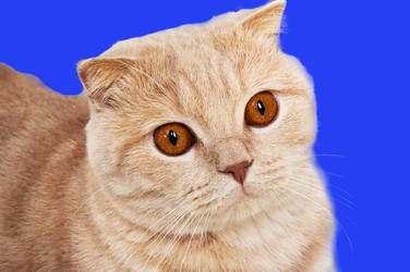 Similar image 424079