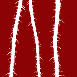 Similar image 424281