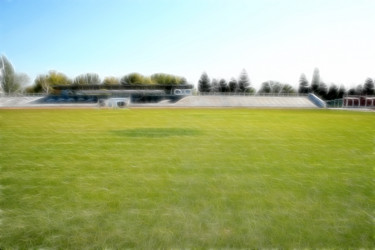 Similar image 424329