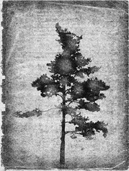 Similar image 424417