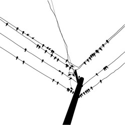 Similar image 424522