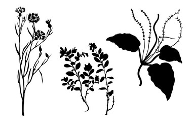 Similar image 424531