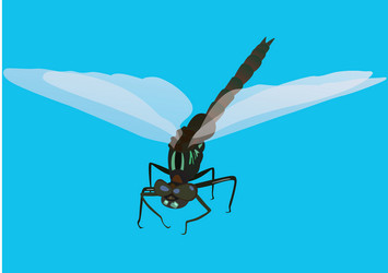 Similar image 424550