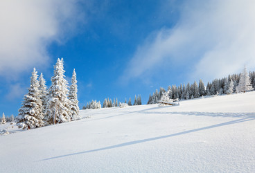 Similar image 424573