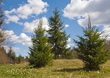 Similar image 424574