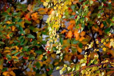 Similar image 424592