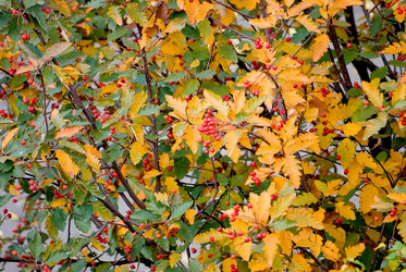 Similar image 424596