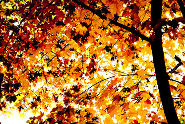 Similar image 424624