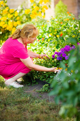 Similar image 424747