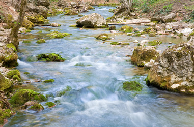 Similar image 424862