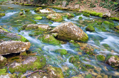 Similar image 424863