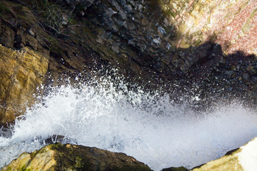 Similar image 424878