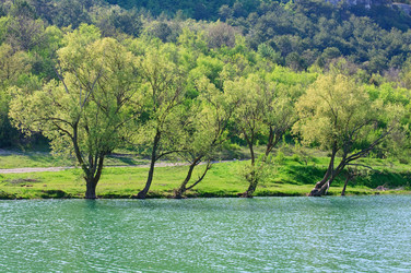 Similar image 424892