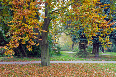 Similar image 424954