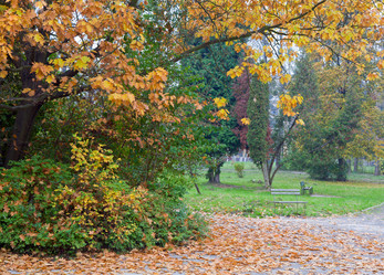 Similar image 424956