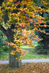 Similar image 424961