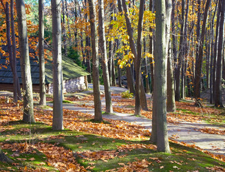 Similar image 424985