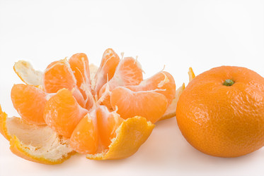 Similar image 425137