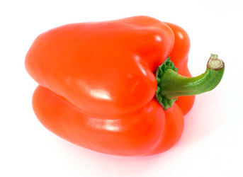 Similar image 425178