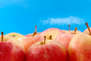 Similar image 425182