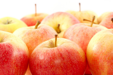 Similar image 425185