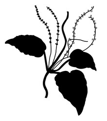 Similar image 425195