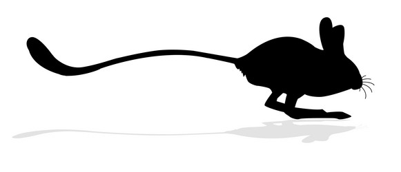 Similar image 425203