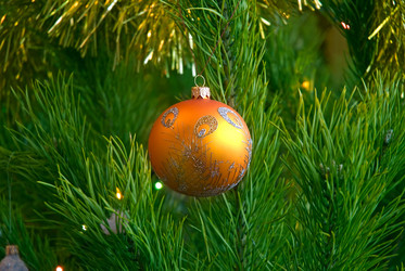 Similar image 425253