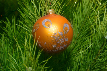 Similar image 425254