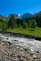 Similar image 425279