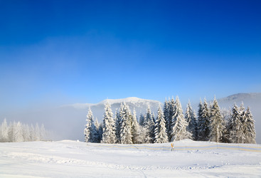 Similar image 425378