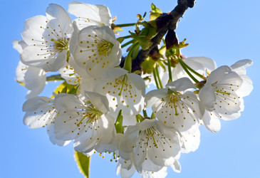 Similar image 425392