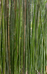 Similar image 425408