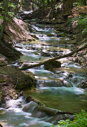 Similar image 425411