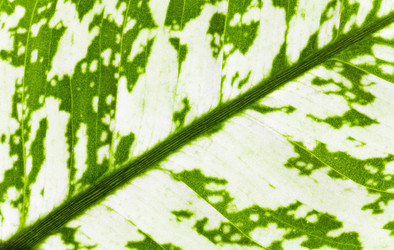 Similar image 425429